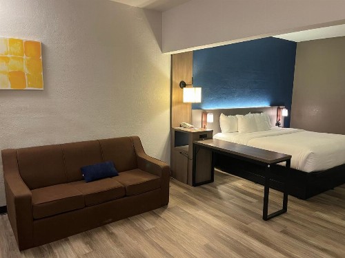Comfort Suites Clearwater - Dunedin - image 24
