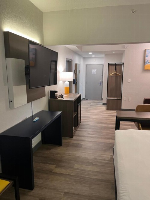 Comfort Suites Clearwater - Dunedin - image 25