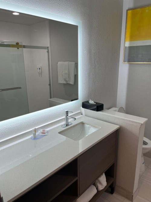 Comfort Suites Clearwater - Dunedin - image 26