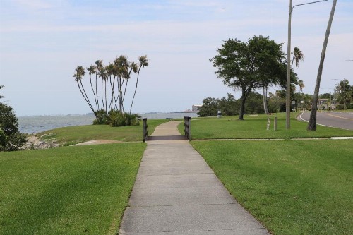 Comfort Suites Clearwater - Dunedin - image 30