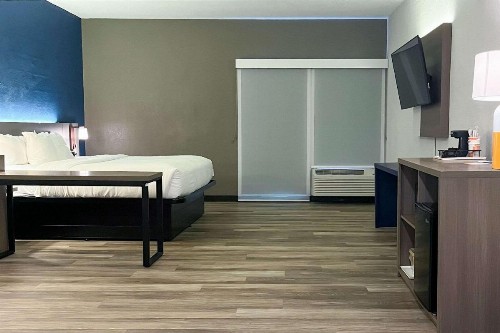 Comfort Suites Clearwater - Dunedin - image 4