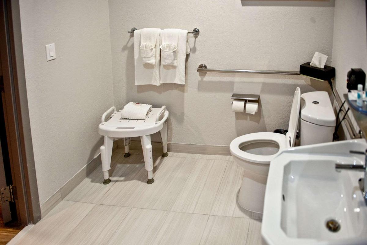 Comfort Suites Clearwater - Dunedin - image 5