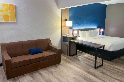 Comfort Suites Clearwater - Dunedin - image 6