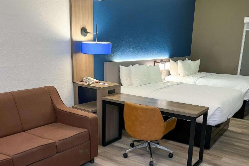 Comfort Suites Clearwater - Dunedin - image 9