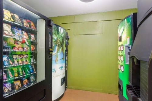 Quality Inn & Suites St. Petersburg – Clearwater Airport Recently Renovated - image 15