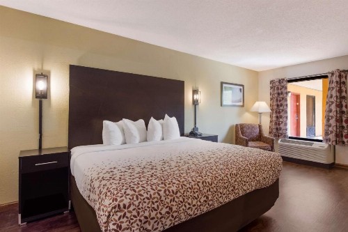 Quality Inn & Suites St. Petersburg – Clearwater Airport Recently Renovated - image 19