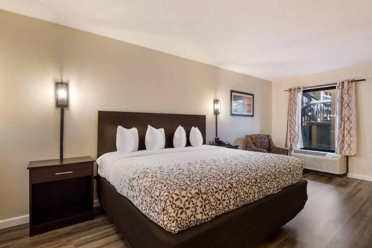 Quality Inn & Suites St. Petersburg – Clearwater Airport Recently Renovated - image 2