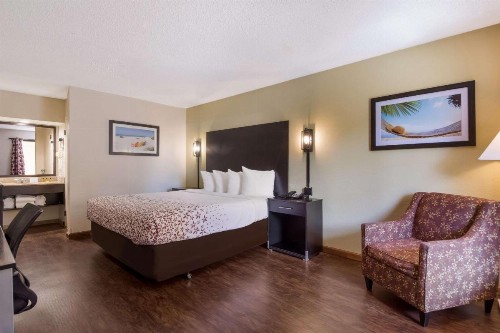 Quality Inn & Suites St. Petersburg – Clearwater Airport Recently Renovated - image 21