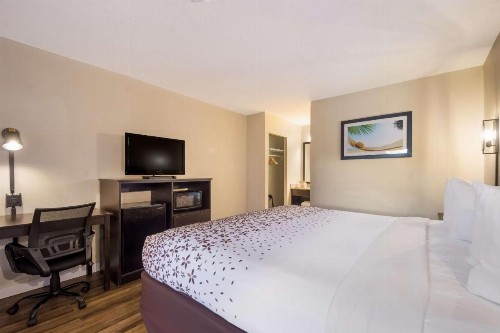 Quality Inn & Suites St. Petersburg – Clearwater Airport Recently Renovated - image 23