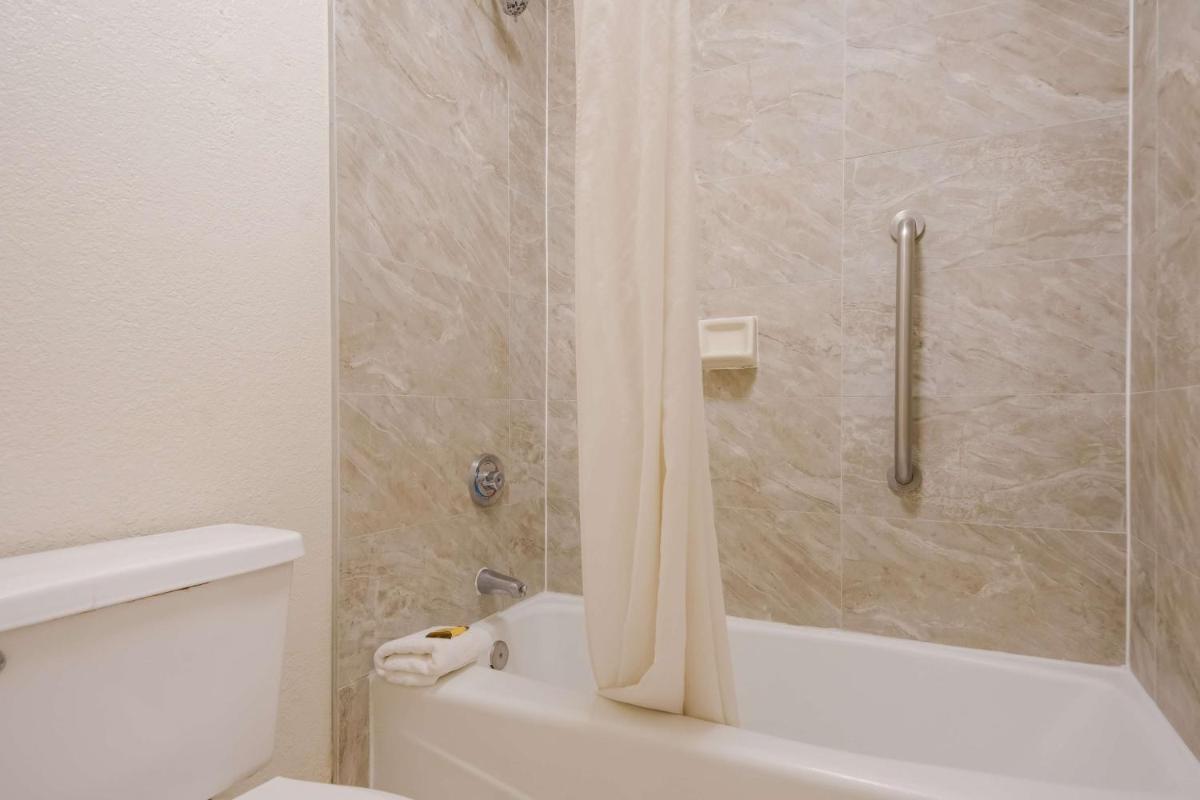 Quality Inn & Suites St. Petersburg – Clearwater Airport Recently Renovated - image 5
