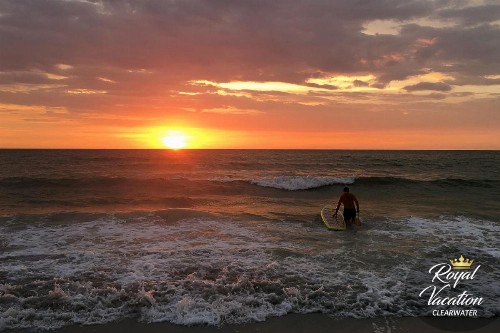 Avalon Paradise - image 16