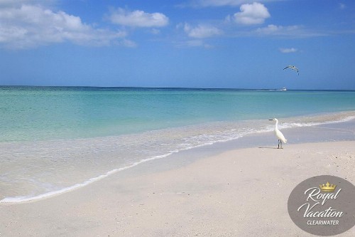 Avalon Paradise - image 44