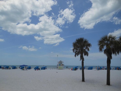 Express Inn & Suites - 5 Miles from St Petersburg Clearwater Airport - image 12