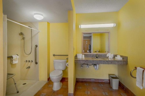 Express Inn & Suites - 5 Miles from St Petersburg Clearwater Airport - image 29