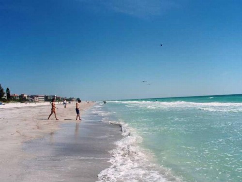 Express Inn & Suites - 5 Miles from St Petersburg Clearwater Airport - image 6