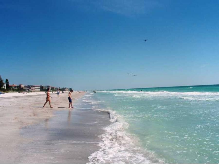 Express Inn & Suites - 5 Miles from St Petersburg Clearwater Airport - image 6