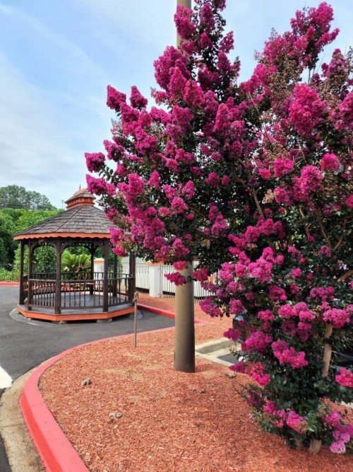 Days Inn by Wyndham Clemson - image 31
