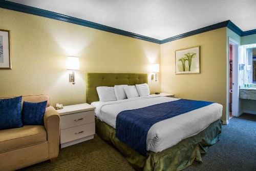 Quality Inn Clermont West Kissimmee - image 18