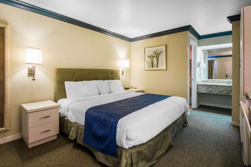 Quality Inn Clermont West Kissimmee - image 19