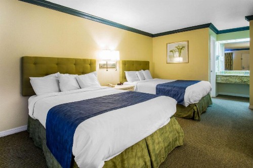 Quality Inn Clermont West Kissimmee - image 21