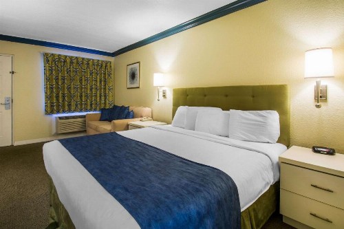 Quality Inn Clermont West Kissimmee - image 5
