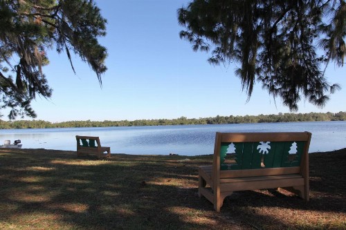 Orlando RV Resort - image 14
