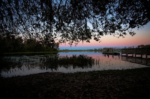 Orlando RV Resort - image 3