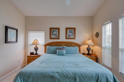 Sunshine Oasis - image 10