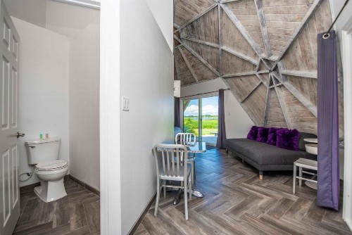 STUDIO 02 - Lake Sumner - image 5