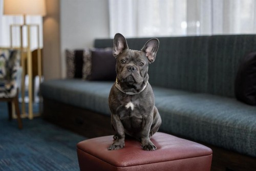Hampton Inn Cleveland-Downtown - image 21
