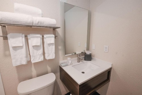 Holiday Inn Cleveland-Mayfield an IHG Hotel - image 12