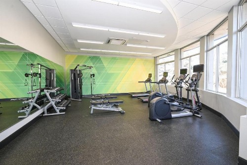 Holiday Inn Cleveland-Mayfield an IHG Hotel - image 15