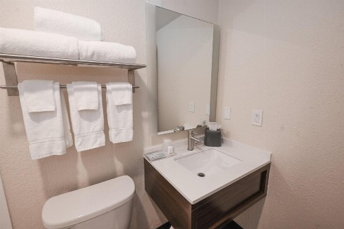 Holiday Inn Cleveland-Mayfield an IHG Hotel - image 25