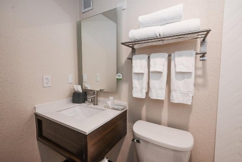 Holiday Inn Cleveland-Mayfield an IHG Hotel - image 35