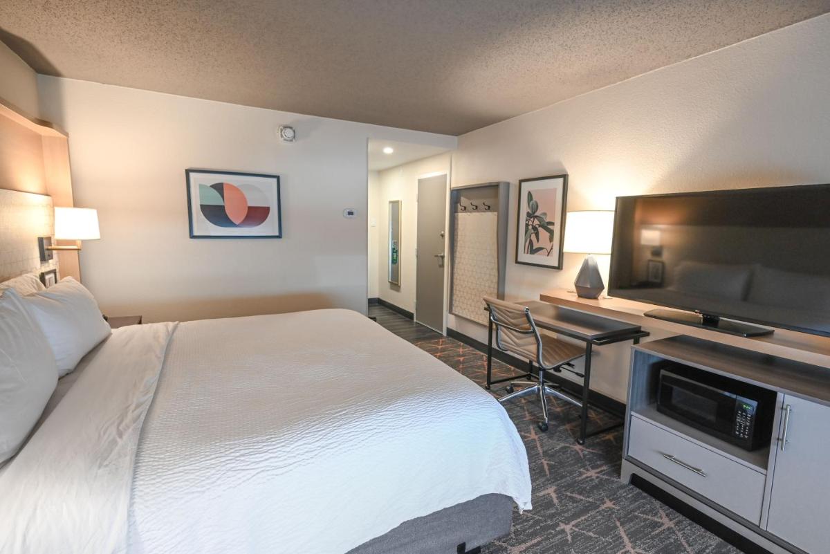 Holiday Inn Cleveland-Mayfield an IHG Hotel - image 6