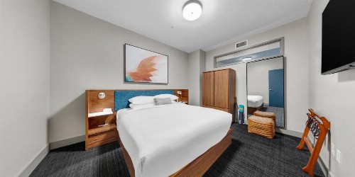 Kimpton Schofield Hotel an IHG Hotel - image 45
