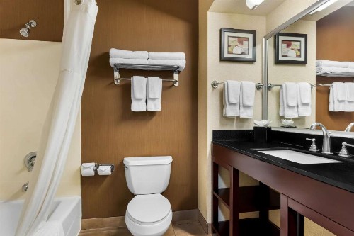 Comfort Suites Clovis - image 29