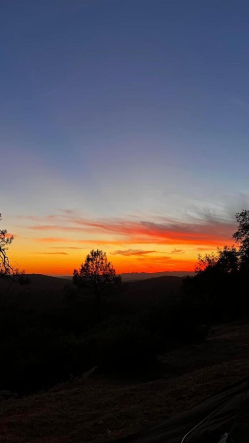 McMillan Ranch Yosemite - image 22