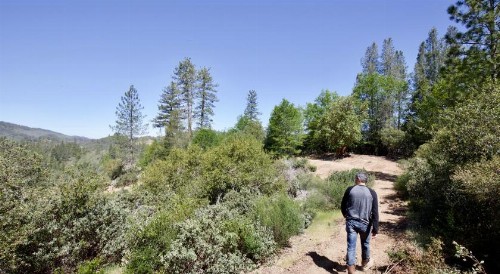 Mandala Springs - image 27