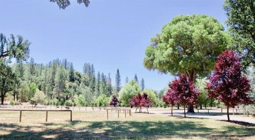 Mandala Springs - image 6