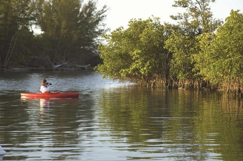 Hampton Inn Cocoa Beach - image 20