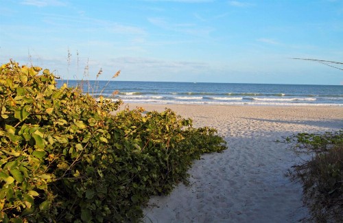 Hampton Inn Cocoa Beach - image 4