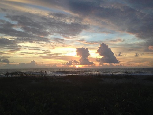 Beach Place Guesthouses - image 42