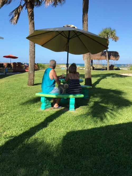 South Beach Inn - Cocoa Beach - image 20