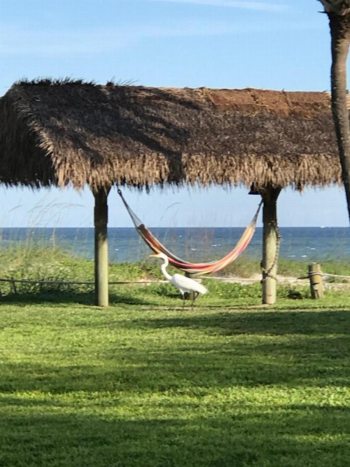 South Beach Inn - Cocoa Beach - image 46