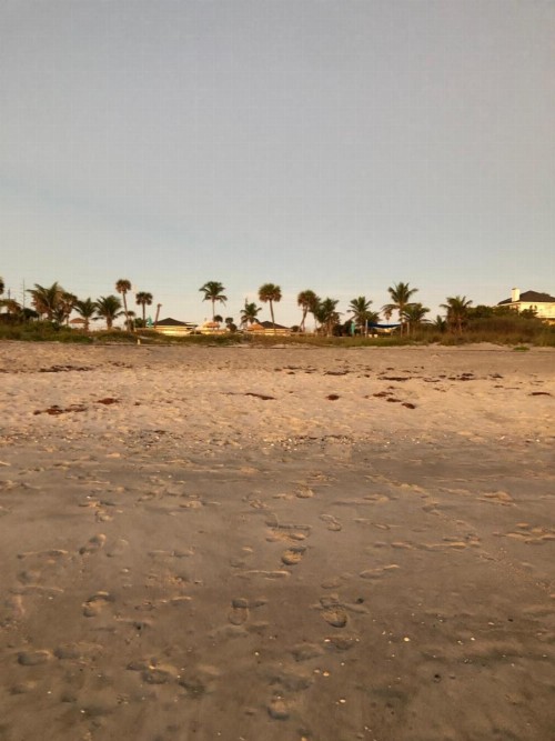 Surf Studio Beach Resort - image 14