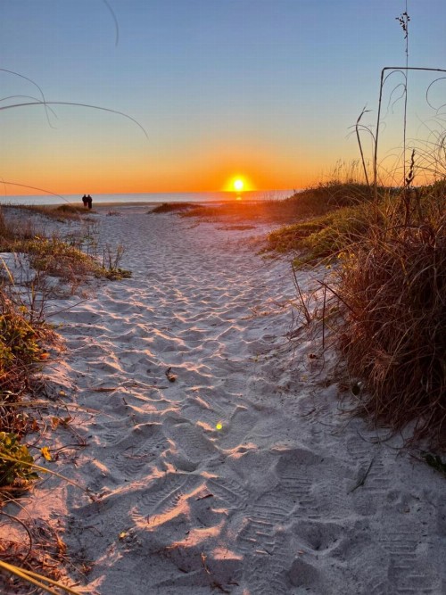 Surf Studio Beach Resort - image 18