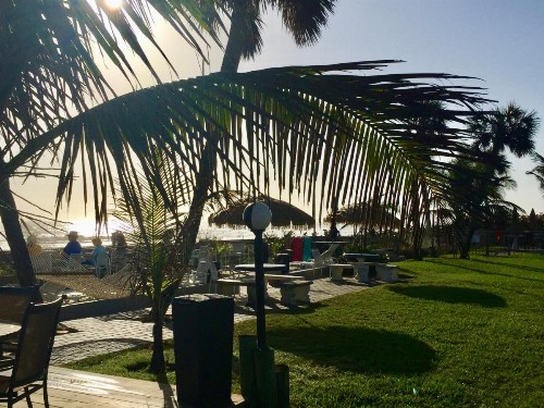 Surf Studio Beach Resort - image 2
