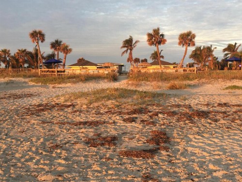 Surf Studio Beach Resort - image 48