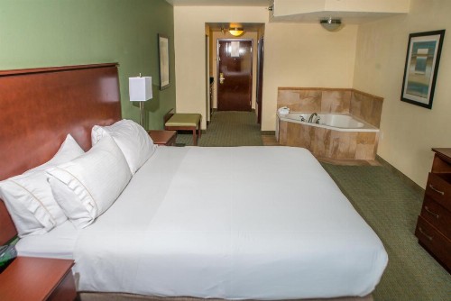 Holiday Inn Express Hotel & Suites Cocoa an IHG Hotel - image 23